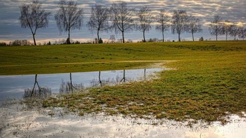 La pluie devrait faire son retour dans la deuxième partie de semaine. La pluie devrait faire son retour dans la deuxième partie de semaine.
