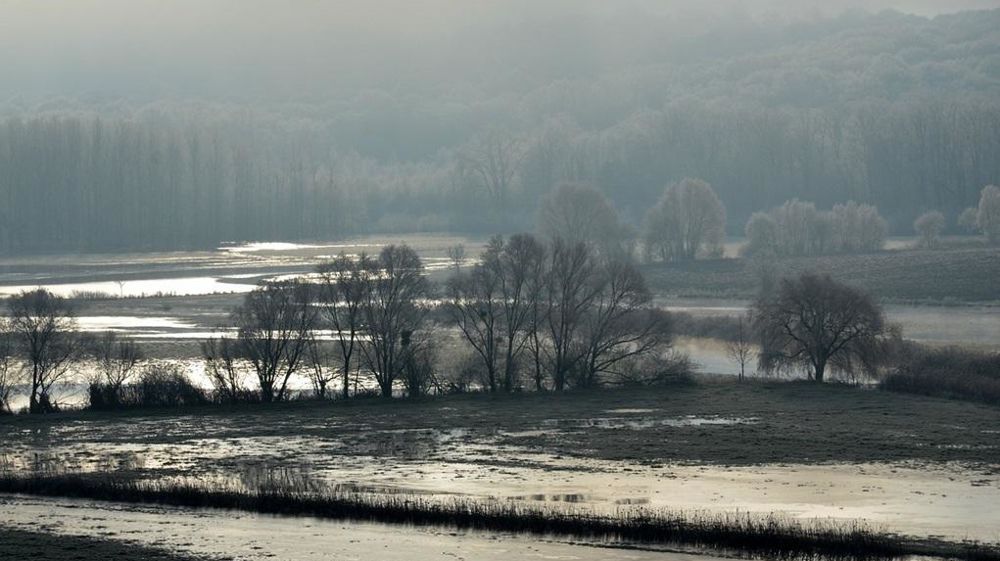 Champ inondé