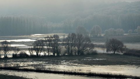 Les averses provoquent des dégâts dans les parcelles européennes.