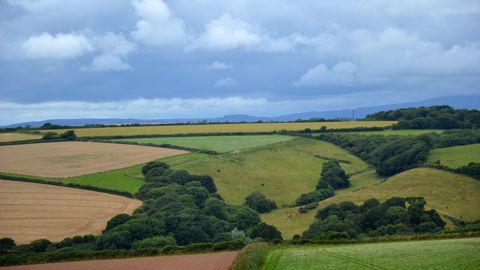 Avec ces nouvelles mesures, le gouvernement britannique entend apporter « davantage de soutien aux agriculteurs du pays ». Avec ces nouvelles mesures, le gouvernement britannique entend apporter « davantage de soutien aux agriculteurs du pays ».