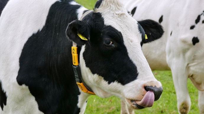 9 % des éleveurs ont jugé l'année 2023 catastrophique.