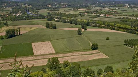 Entre contraintes et complément de revenu, quel intérêt des MAEC ?