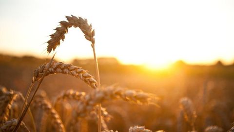 Un climat sec et anormalement doux revient s'installer en Europe de l'Ouest. Un climat sec et anormalement doux revient s'installer en Europe de l'Ouest.