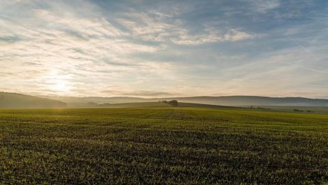 Un climat doux et ensoleillé s'installe en France. Un climat doux et ensoleillé s'installe en France.