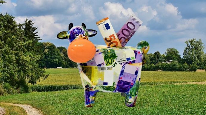 Les aides bovines 2023 devraient être versées sous peu.
