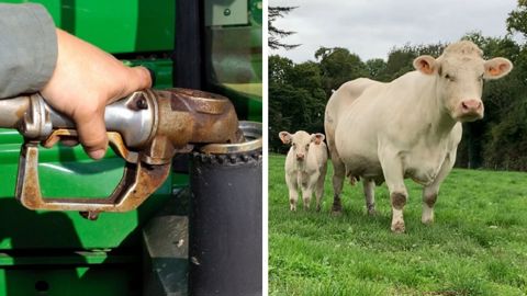 Les décrets sur la gazole non routier et la maladie hémorragique épizootique sont parus ce dimanche au Journal Officiel.
