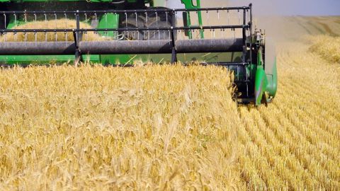 Selon Jean-Philippe Boussemart, membre correspondant à l'Académie d'agriculture, ce sont les agriculteurs qui ont le moins profité des gains de productivité réalisés dans les filières alimentaires. Selon Jean-Philippe Boussemart, membre correspondant à l'Académie d'agriculture, ce sont les agriculteurs qui ont le moins profité des gains de productivité réalisés dans les filières alimentaires.