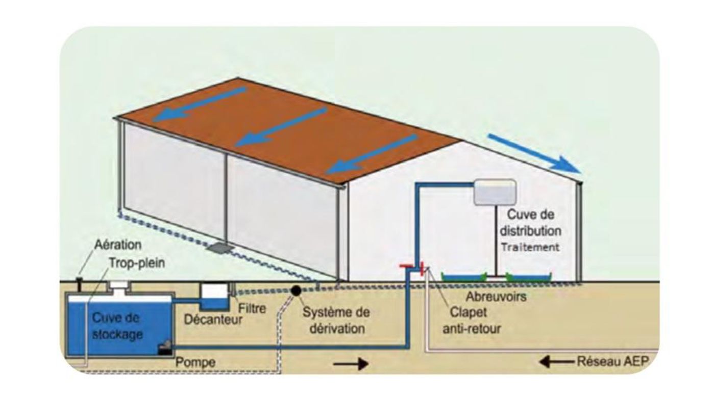 Abreuver Ses Bovins Avec De L eau De Pluie abreuver-ses-bovins-avec-de-l-eau-de-pluie