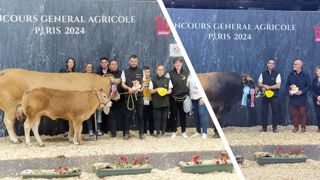 Olabelle et Rio sont les grands gagnants de la race Parthenaise au Salon de l'agriculture 2024. Olabelle et Rio sont les grands gagnants de la race Parthenaise au Salon de l'agriculture 2024.