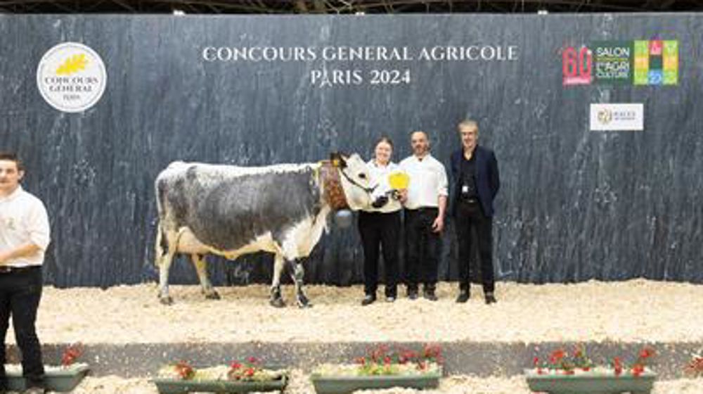 Girly,grande championne de la race vosgienne