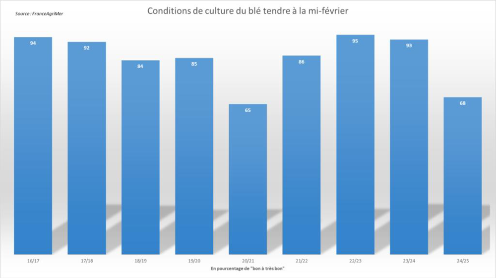 Les notations FranceAgriMer de blé tendre ressortent très faibles.