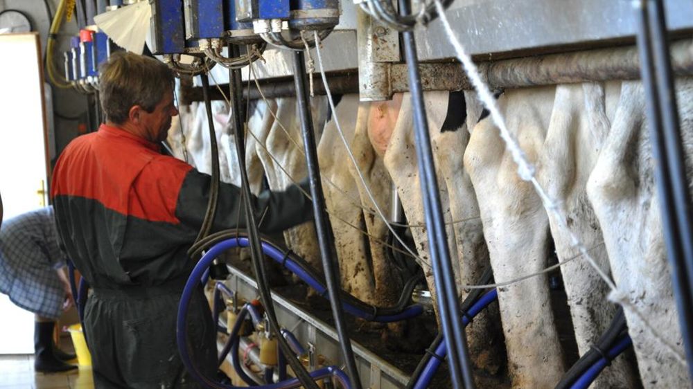 éleveur trayeur en salle de traite