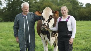 François et Lucie Foucault en compagnie de leur vache normande Oreillette. François et Lucie Foucault en compagnie de leur vache normande Oreillette.