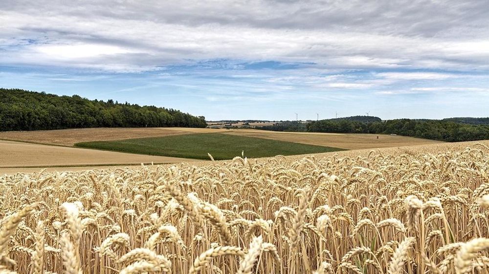 Terres agricoles