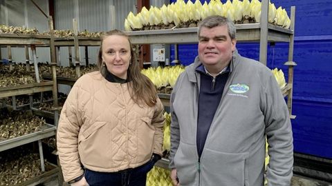 Florence Dhalluin et Benoît Coustenoble, tous deux producteurs d'endives à Marcoing et Avelin (Nord), partagent les mêmes problématiques. Florence Dhalluin et Benoît Coustenoble, tous deux producteurs d'endives à Marcoing et Avelin (Nord), partagent les mêmes problématiques.