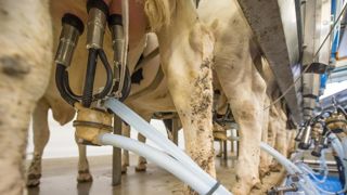 La laiterie En directe des éleveurs a vendu 7,2 millions de litres l’an dernier. La laiterie En directe des éleveurs a vendu 7,2 millions de litres l’an dernier.