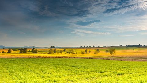 Le soutien total des pays riches (aides directes + soutien des prix du marché) a beaucoup baissé, passant de 44 % de la valeur de la production agricole en 2000 à 25 % en 2021. Le soutien total des pays riches (aides directes + soutien des prix du marché) a beaucoup baissé, passant de 44 % de la valeur de la production agricole en 2000 à 25 % en 2021.