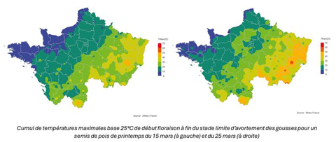 Cumuls de températures maximales base 25C de début floraison à fin du stade limite d'avortement des gousses pour un semis de pois de printemps du 15 mars à gauche et du 25 mars à droite