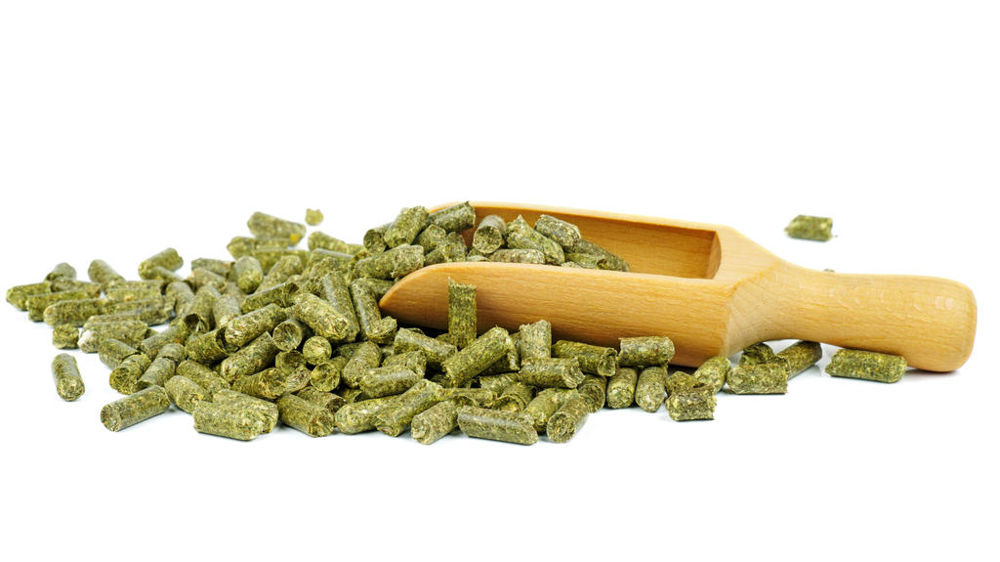 La déshydratation de luzerne