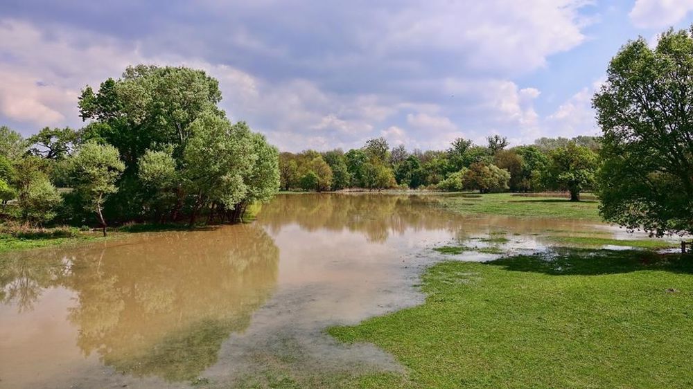 Inondation
