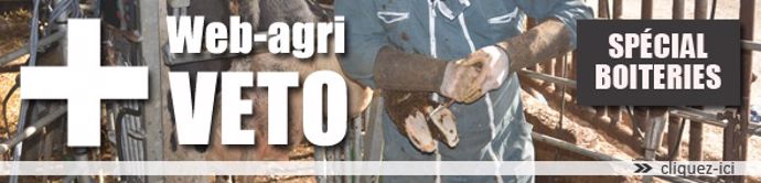 Web-agri Véto spécial boiteries et parage