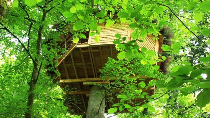 L'une des 2 cabanes installées dans les arbres sur l'exploitation d'Aurélie et Rodolphe Cauchard.