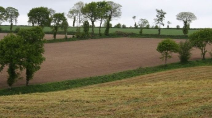 Réduction des aides découplées 2013