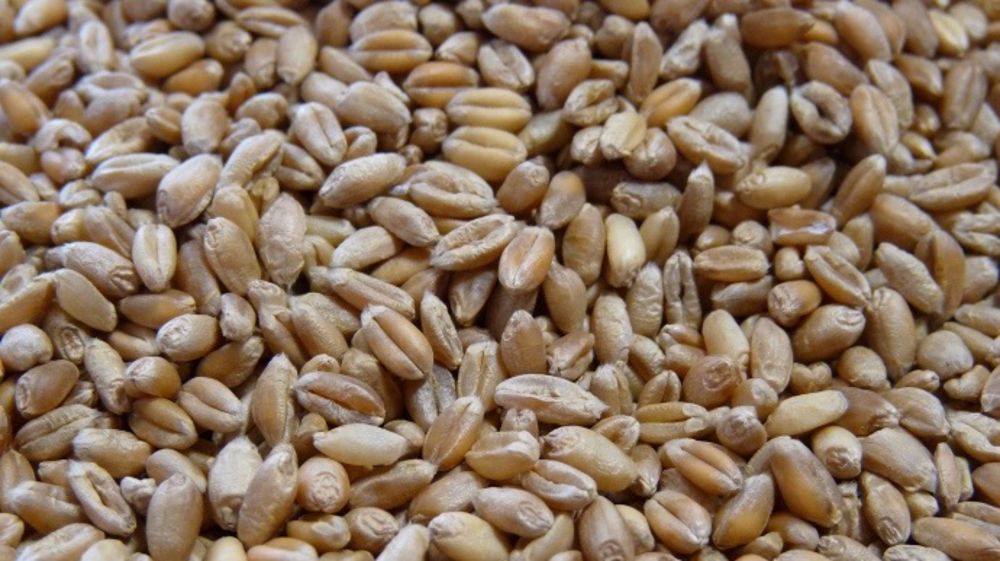 FranceAgriMer relève ses perspectives d'export vers les pays tiers