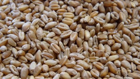 FranceAgriMer relève ses perspectives d'export vers les pays tiers