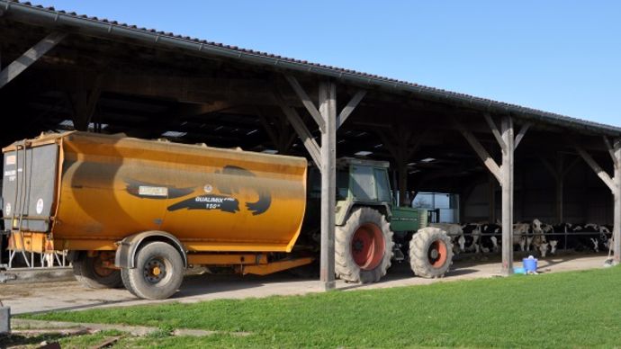 alimentation des bovins