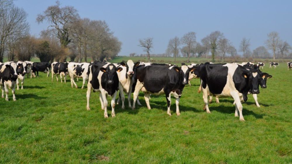 Les leviers bénéfiques à l’environnement comme à l’Ebe