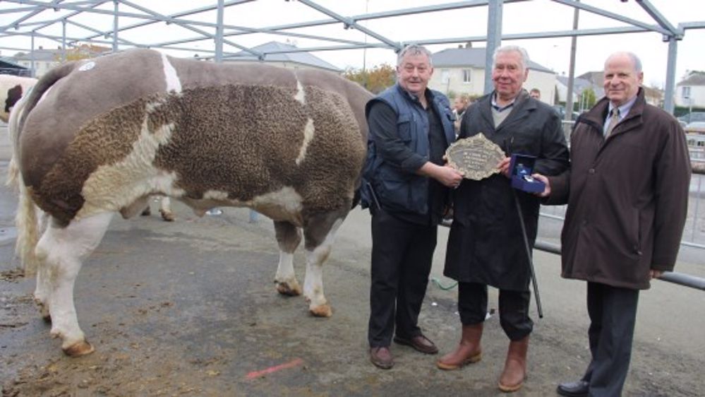 A Evron, un concours de haute tenue