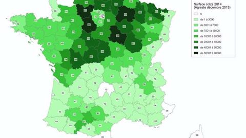 Maintien des surfaces à un haut niveau et redistribution régionale Maintien des surfaces à un haut niveau et redistribution régionale