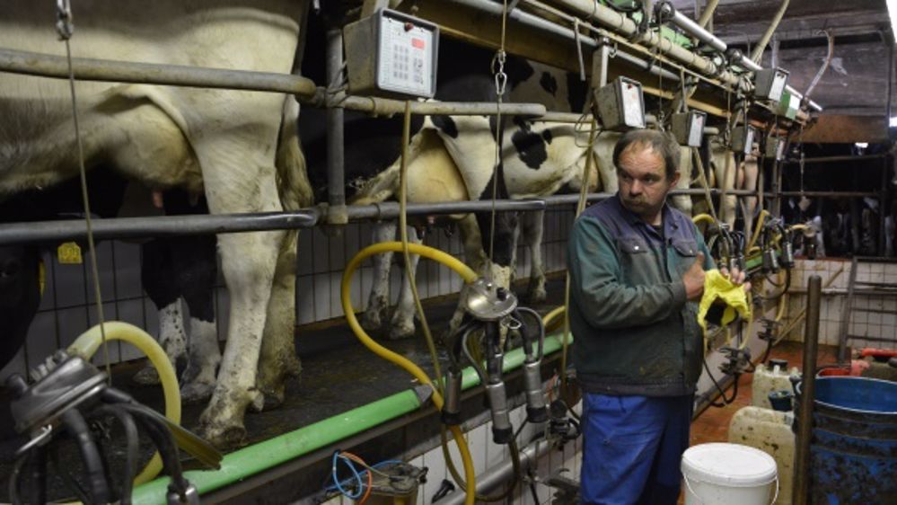 Quelles sont les pratiques de traite les plus efficaces ?