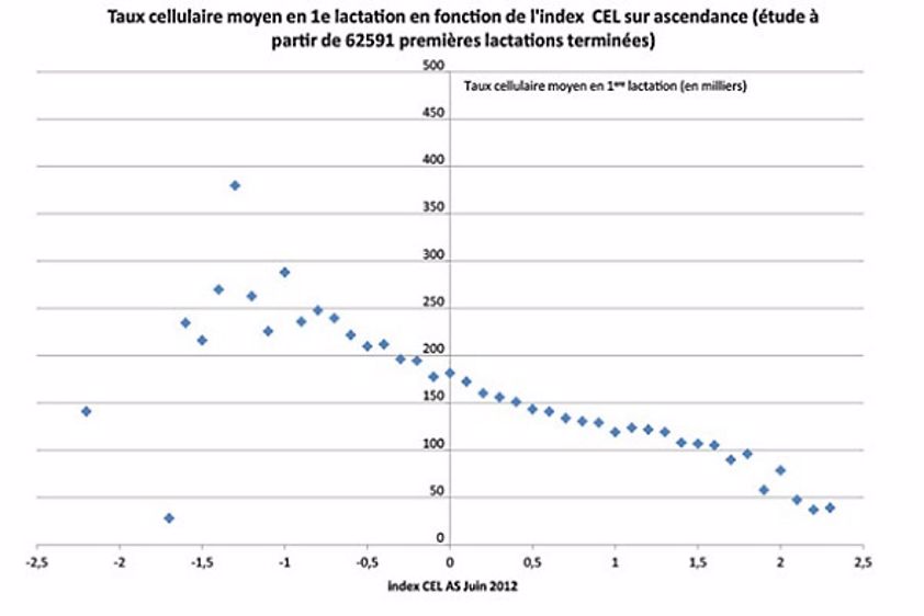L’index cellules, ce n’est pas du pipeau !