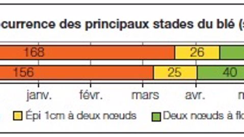 L'évolution de la physiologie du blé lui évite de subir celle du climat