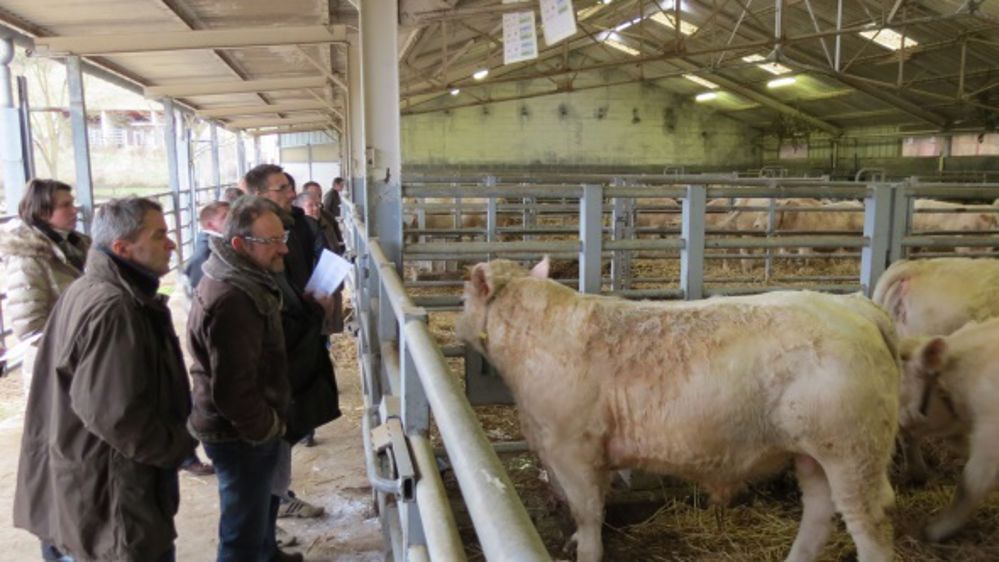 Une nouvelle station d’évaluation ouvre dans l’Allier