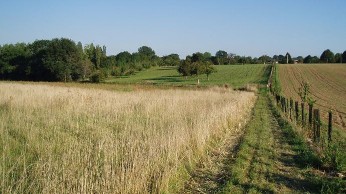 Baux à clauses environnementales