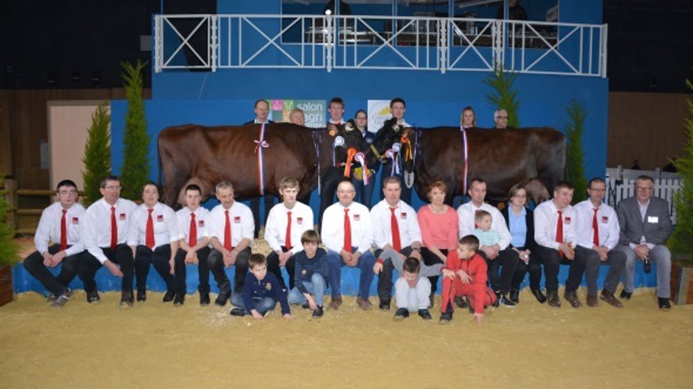 Eskimo, la grande championne venue du Nord