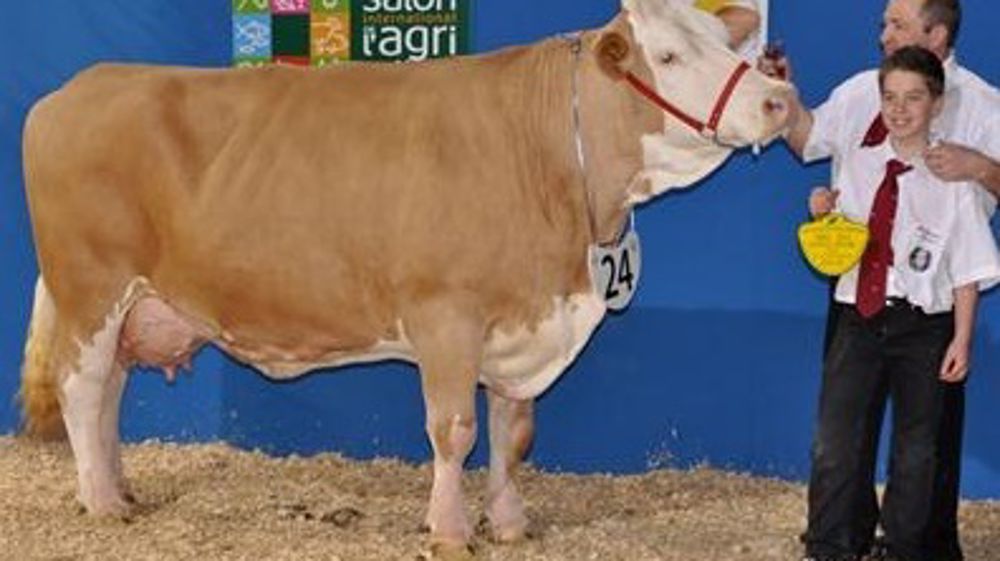 Claudie devance Charmante, Epatante s'affirme chez les jeunes vaches