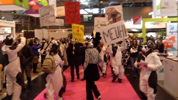 Manifestation contre la ferme des 1.000 vaches 