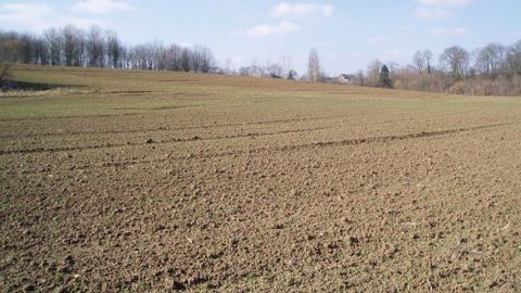 Neuvième vague de froid en vue sur le Midwest