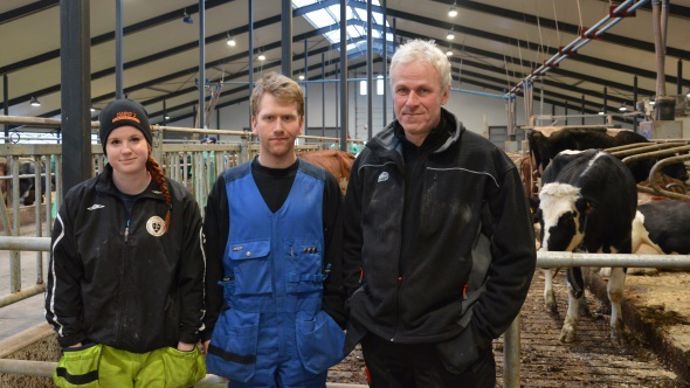 Andersson Tranas Sweden cows