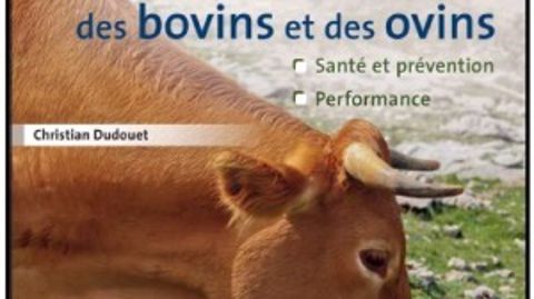 L’alimentation minérale des bovins et des ovins