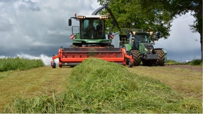 Ensilage d'herbe