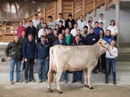 harmonisation juges race brune