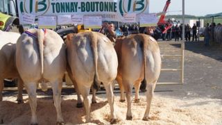 A Tonnay-Boutonne - Une excellente qualité pour des tarifs en léger repli A Tonnay-Boutonne - Une excellente qualité pour des tarifs en léger repli