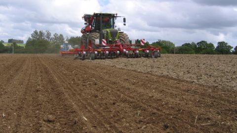 Bien préparer le sol favorise une levée rapide et homogène du maïs Bien préparer le sol favorise une levée rapide et homogène du maïs