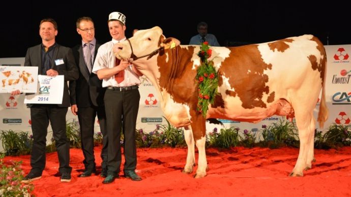 Gabele (Urbaniste x Spacieux)