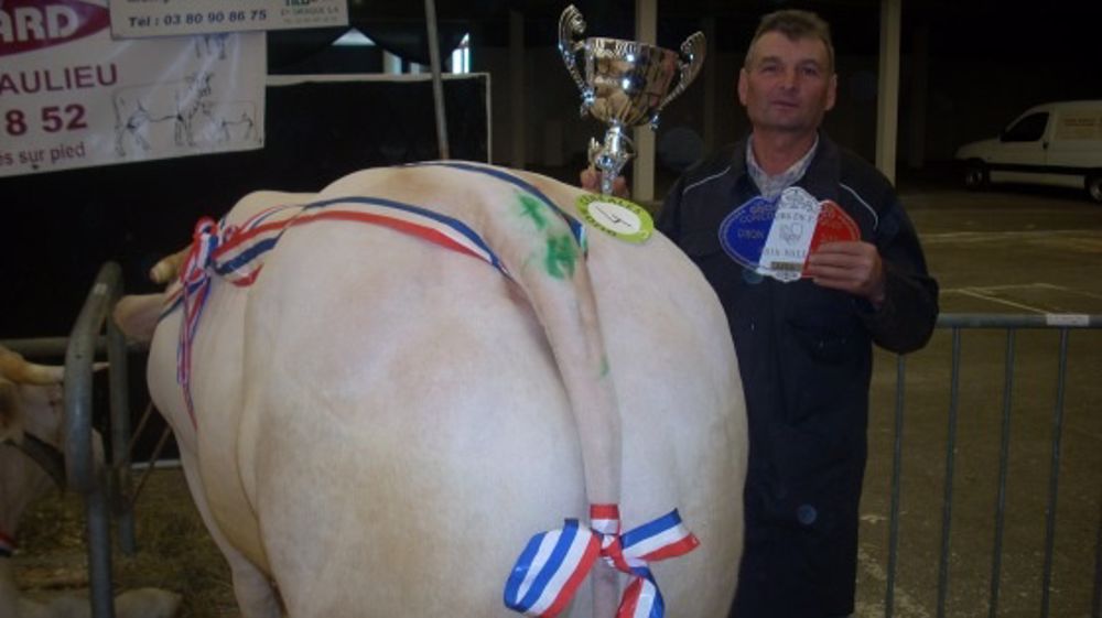 A Dijon - Un concours dans la tradition A Dijon - Un concours dans la tradition